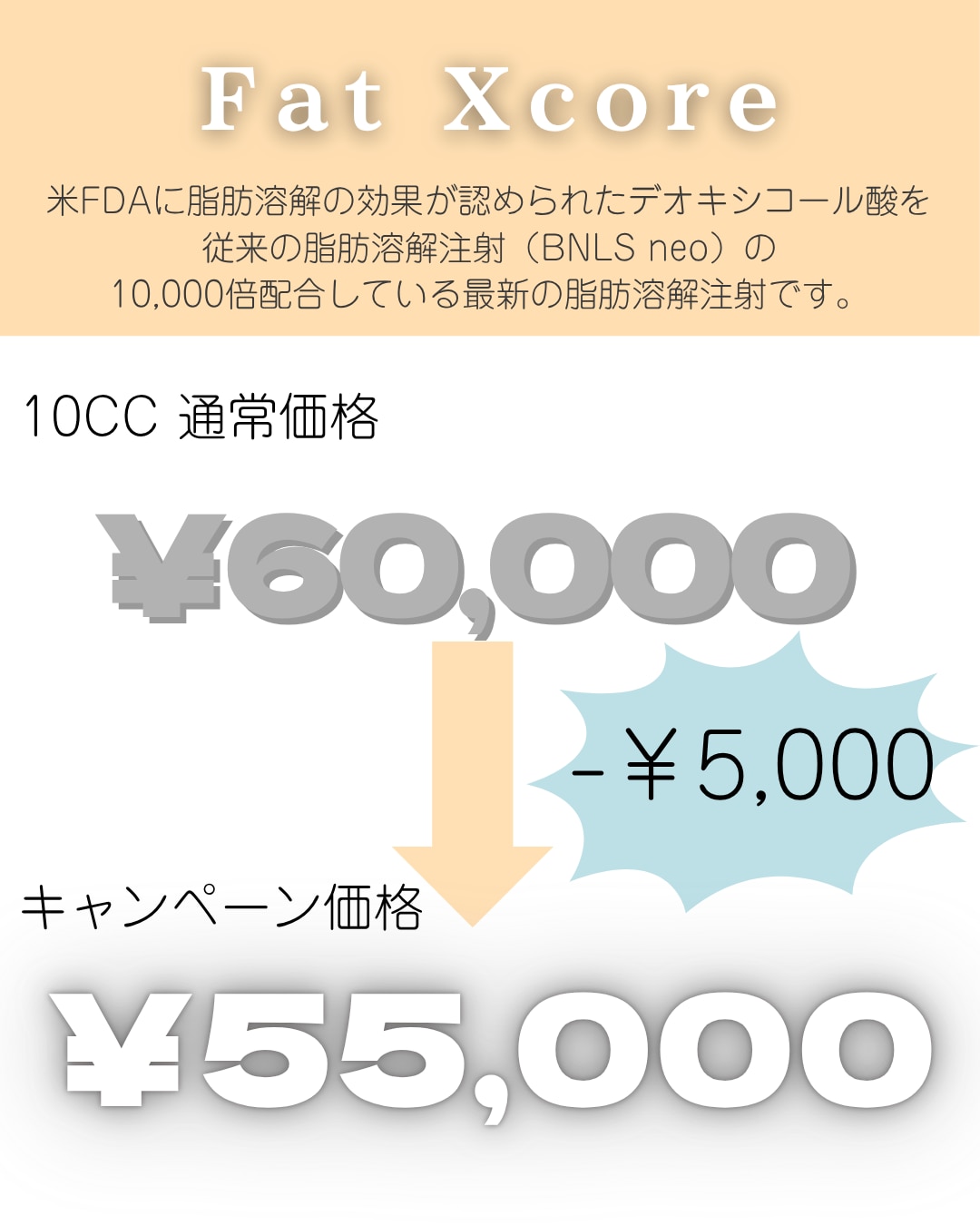 Fat X core