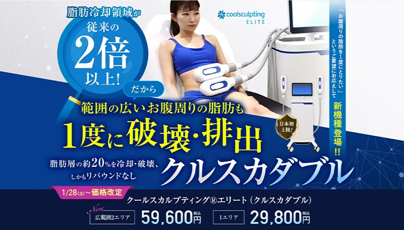 楽痩せ クールスカルプティング【PRICE DOWN!】