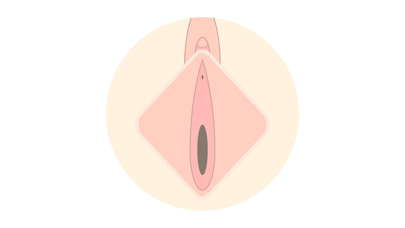 第１位：大きさ