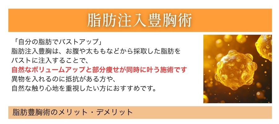 脂肪注入豊胸術