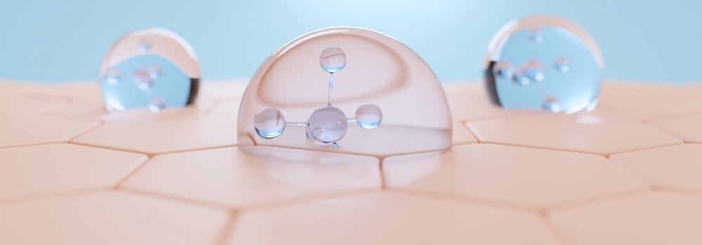 ①6種のアミノ酸 ＋ GABA