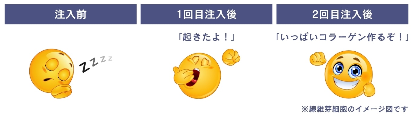 なぜ2回必要なのか