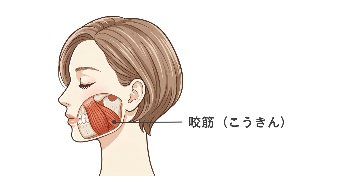 なぜ注射だけで小顔になれるの？
