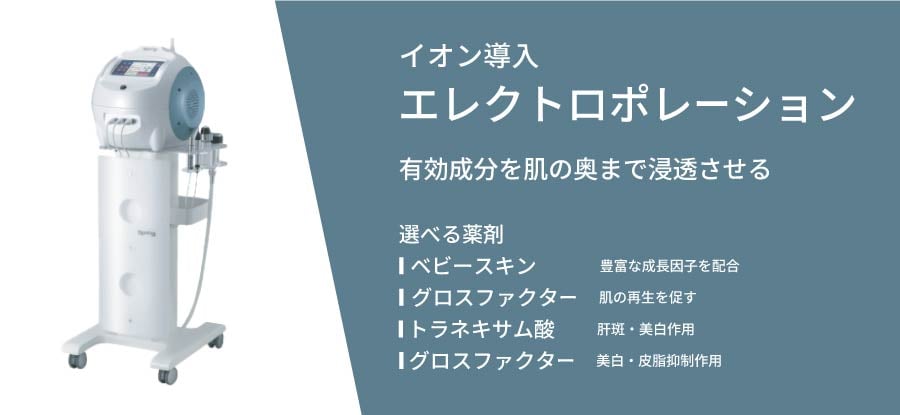 イオン導入（エレクトロポレーション）