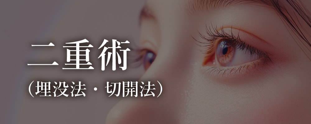 ⑤二重術(埋没法・切開法)