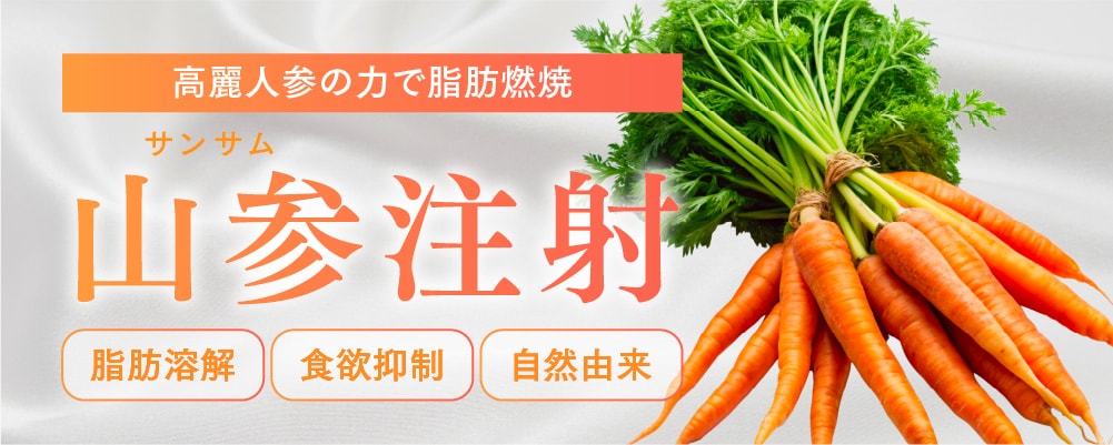 高麗人参の力で脂肪燃焼