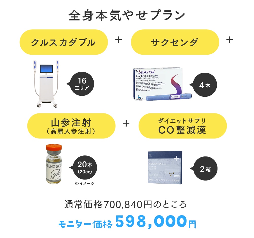【約15%お得】本気で痩せて理想の自分に