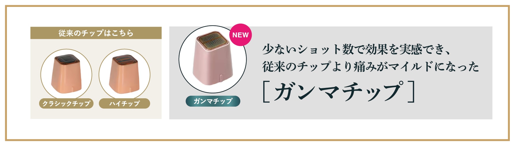 ガンマチップとは？