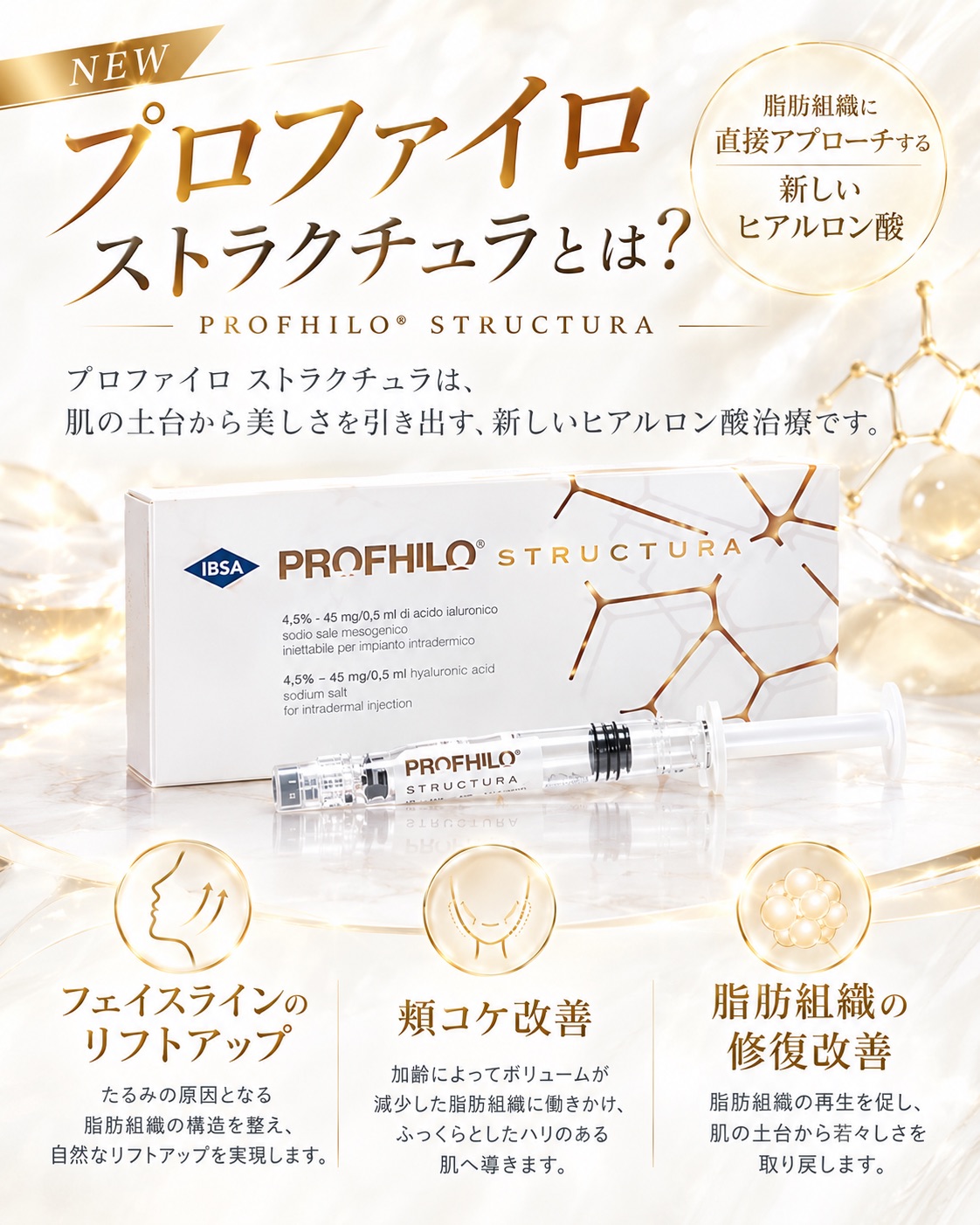 新着_プロファイロ ストラクチュラ