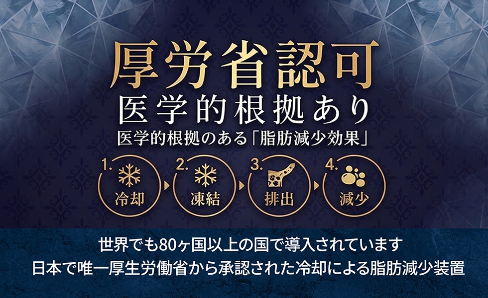 厚労省承認！医学的根拠のある「脂肪減少効果」