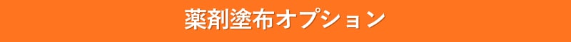 皮膚科 薬剤塗布 オプション ダーマペン イオン導入 エレクトロポーション 池袋