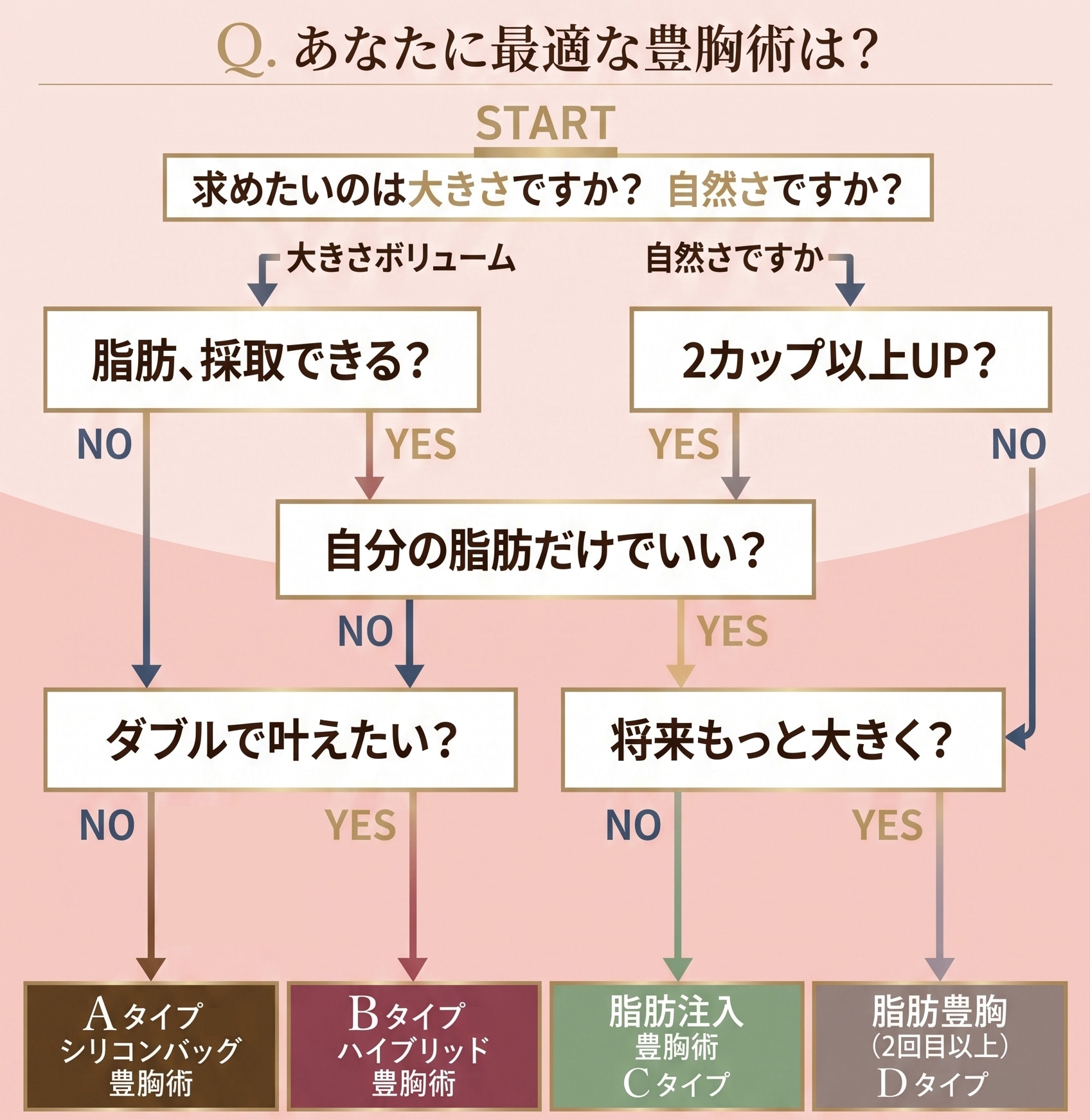 大きく分けて4つ！まずはロードマップを使って質問に答えてみよう！