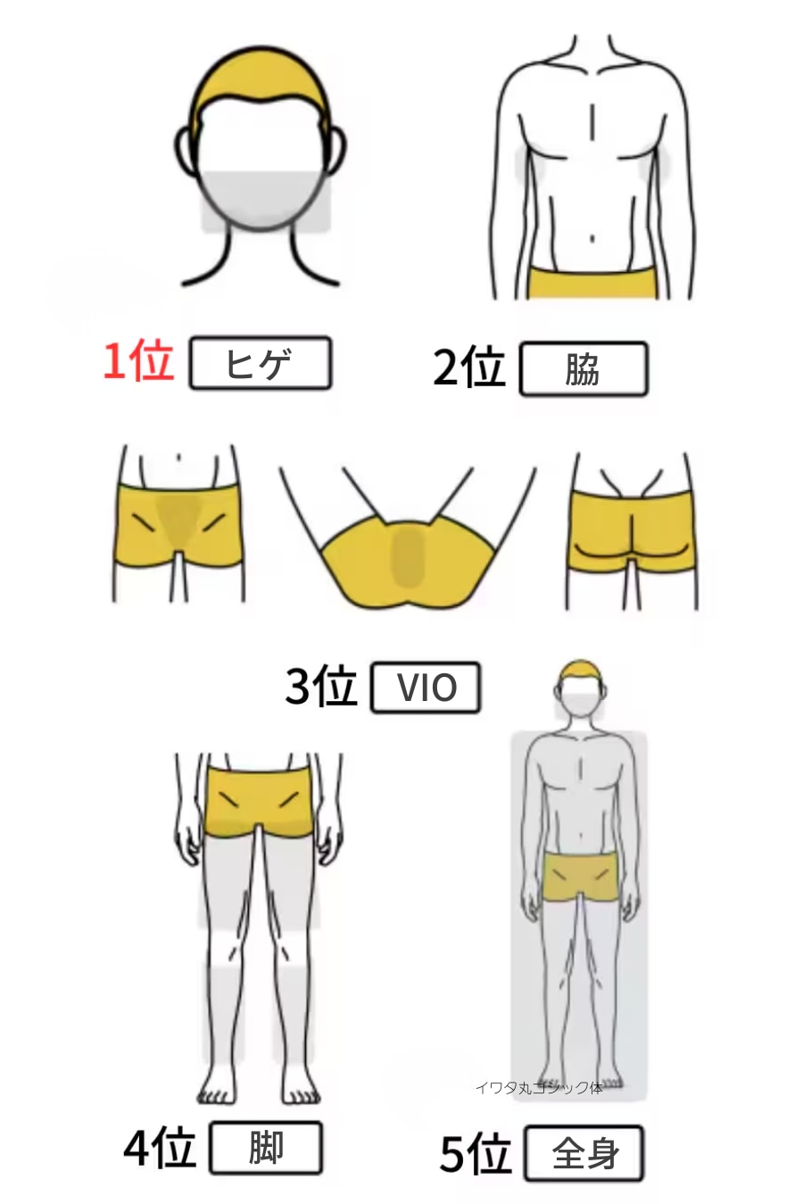 人気部位ランキング