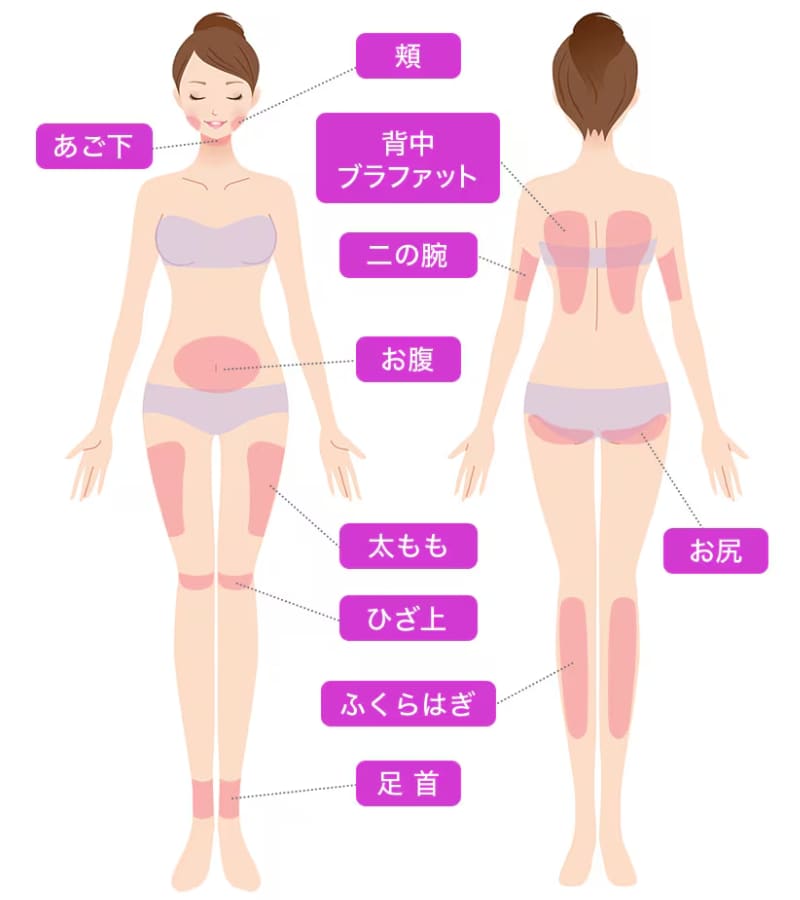 対象部位