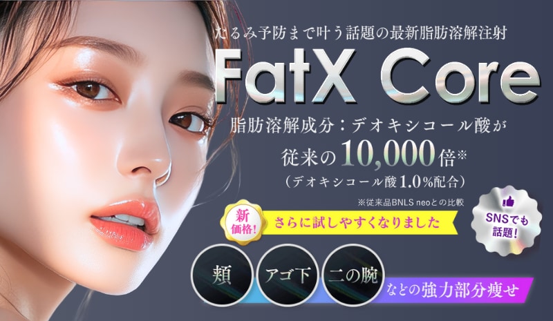 FatX Core
