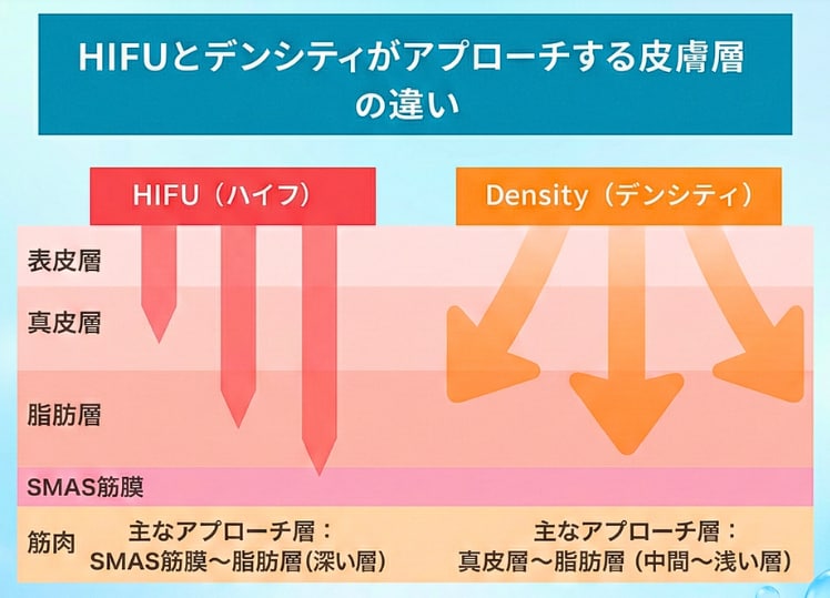 アプローチする皮膚層の違い<br />

