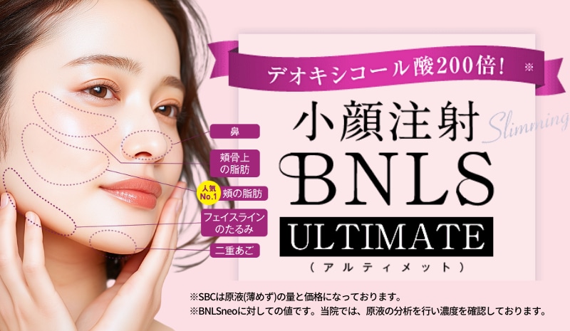 BNLSアルティメット