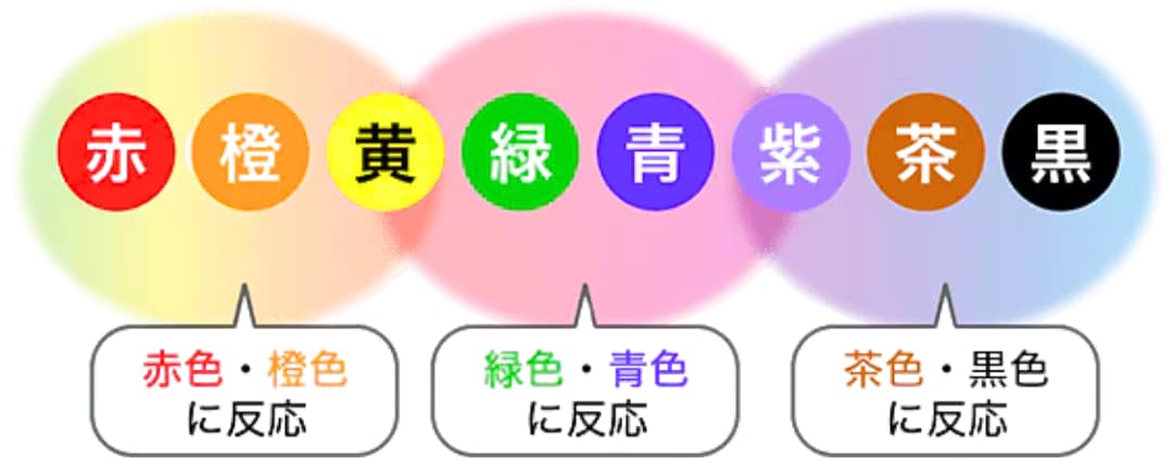 様々な色のタトゥーに対応