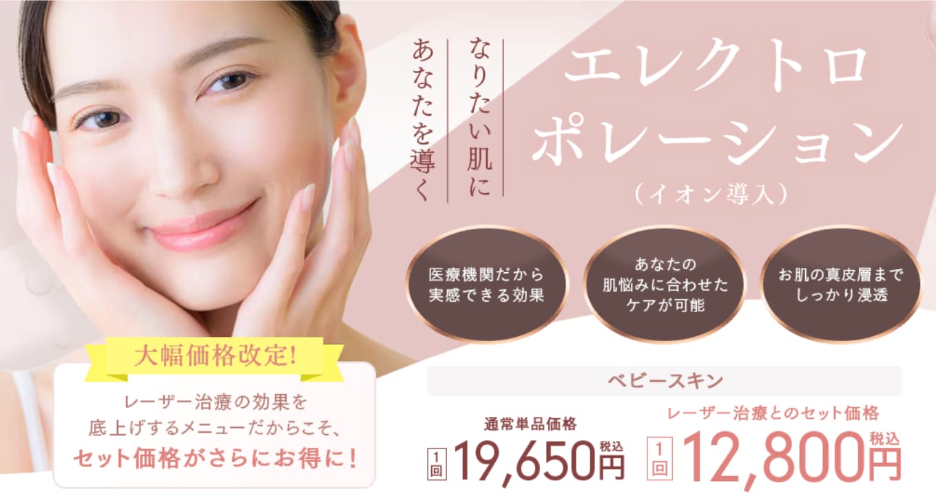 エレクトロポレーション（イオン導入）