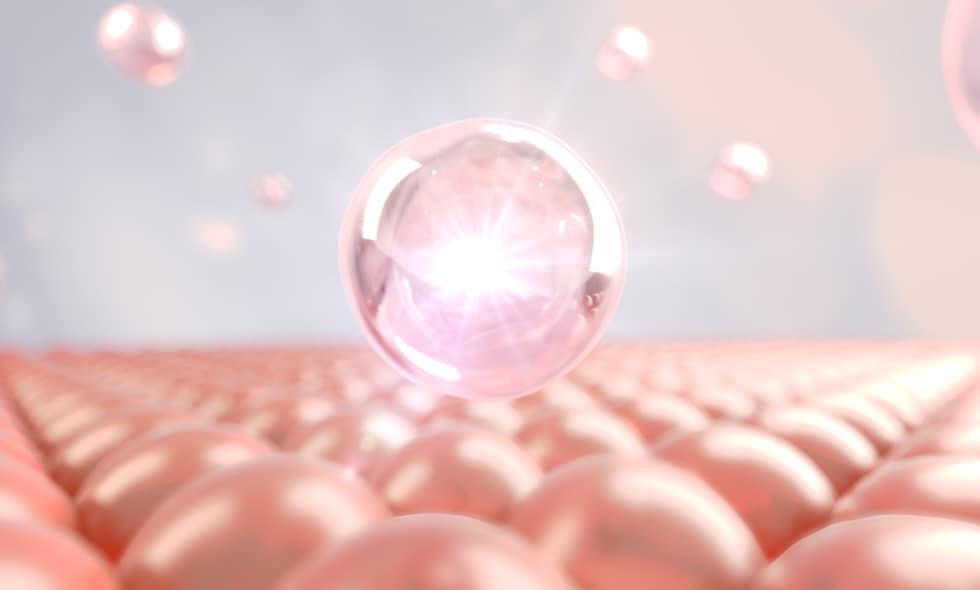 ハリと小ジワを改善