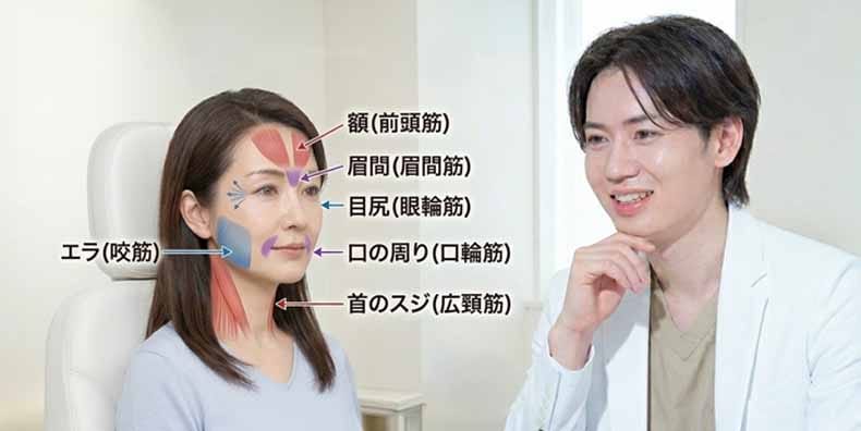医師が解説するボトックスの部位別効果