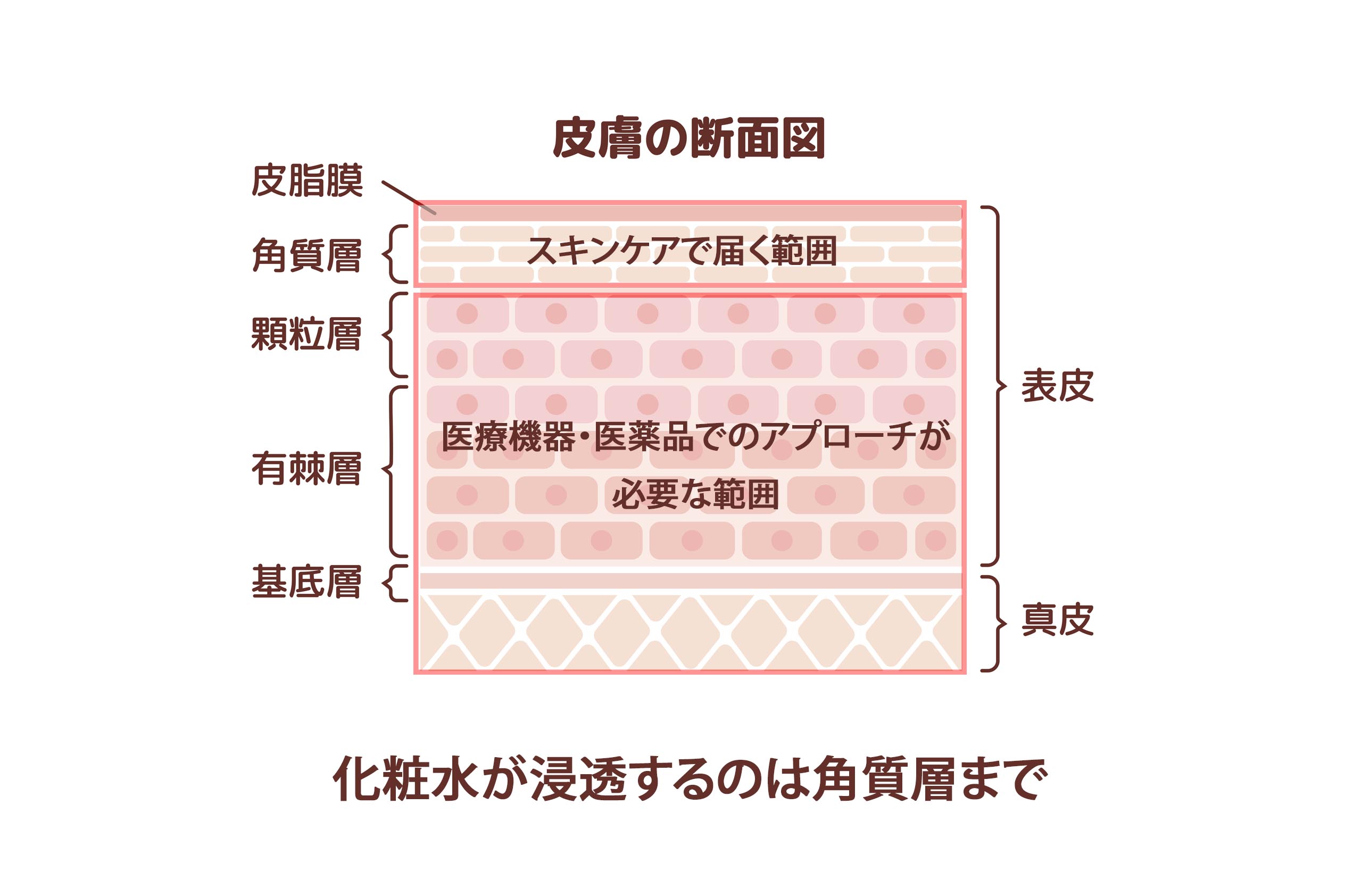 スキンケアでは届かない理由