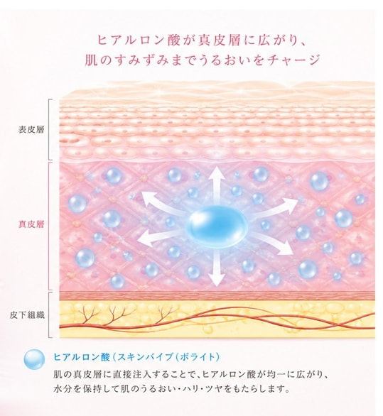 肌質改善に特化した次世代のヒアルロン酸とは