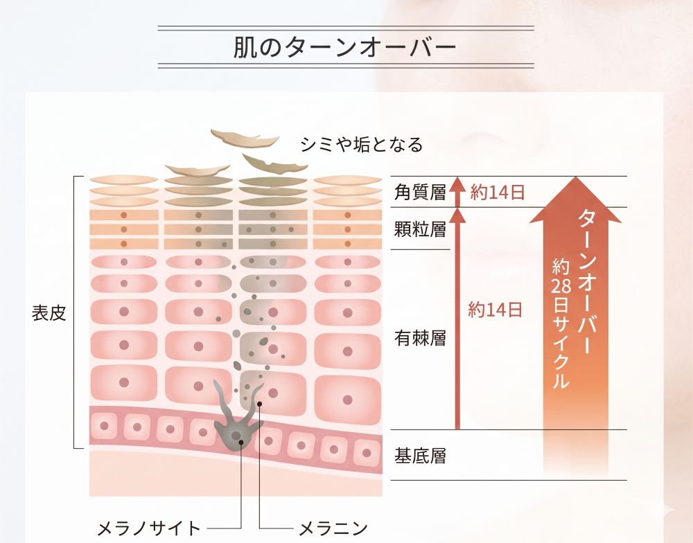 1回で効果は出る？最適な回数と通う頻度