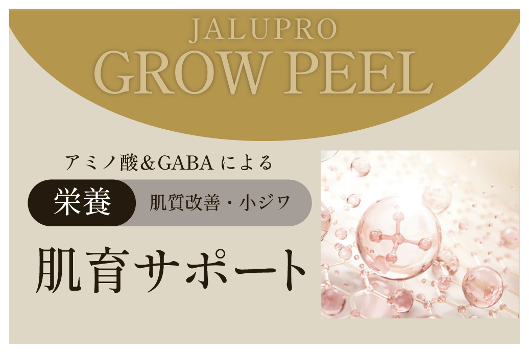 3.【栄養】アミノ酸＆GABAによる「肌育」サポート