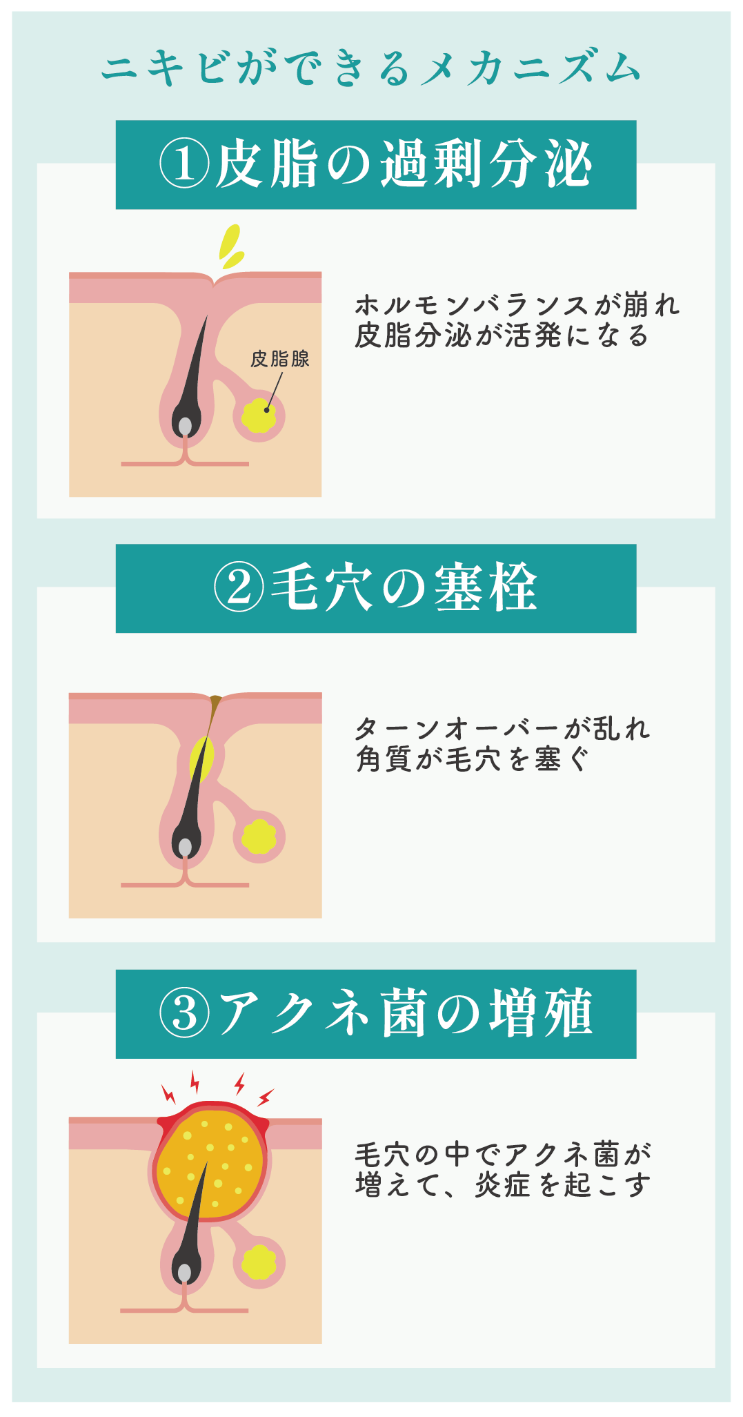 原因は