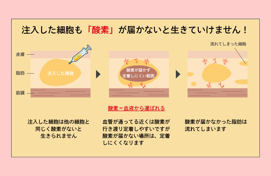 脂肪＝酸素が届かないと生きていけない