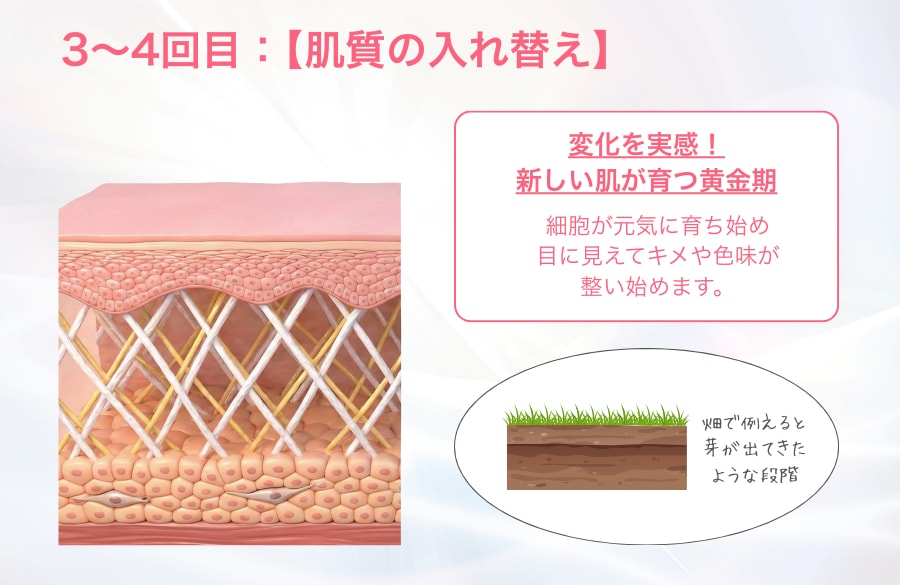 3〜4回目：【肌質の入れ替え】