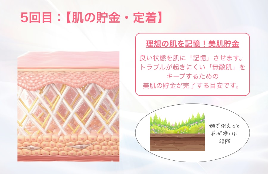 alt="湘南美容クリニック蒲田院 シルファームX5回目で効果の実感解説画像"
