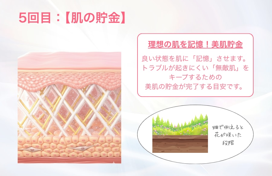 5回目：【定着・肌の貯金】