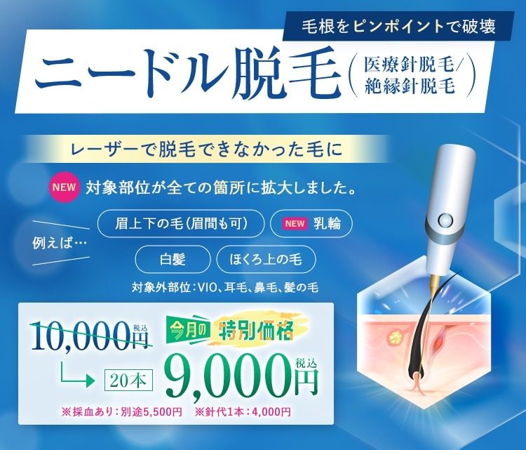 needle