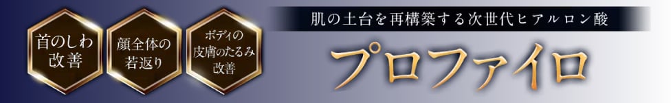 プロファイロ