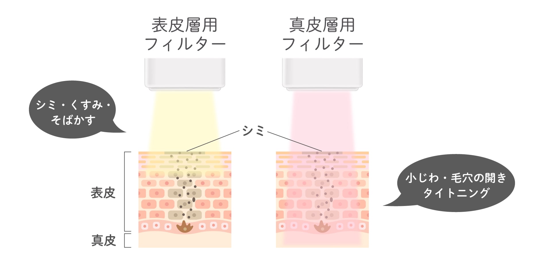 フォトダブル®