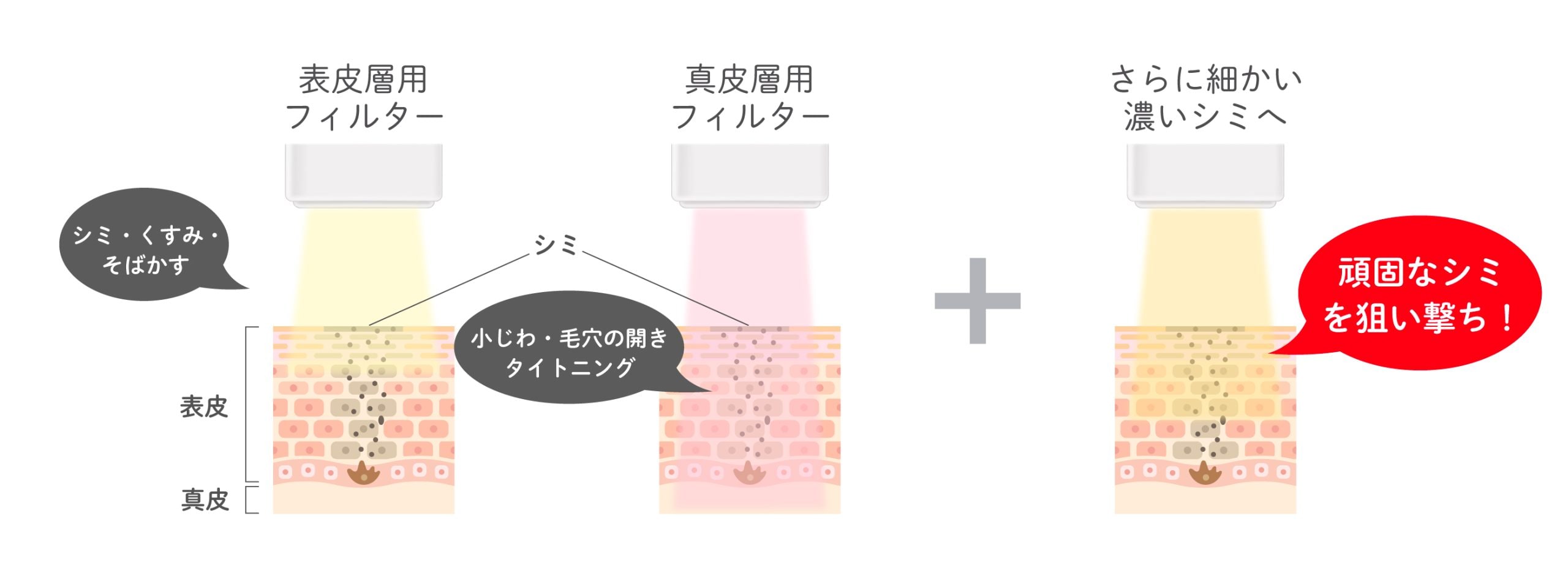 フォトトリプル