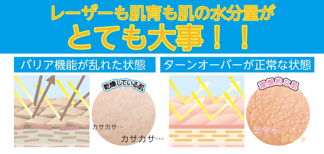 なぜ肌育をするのか？