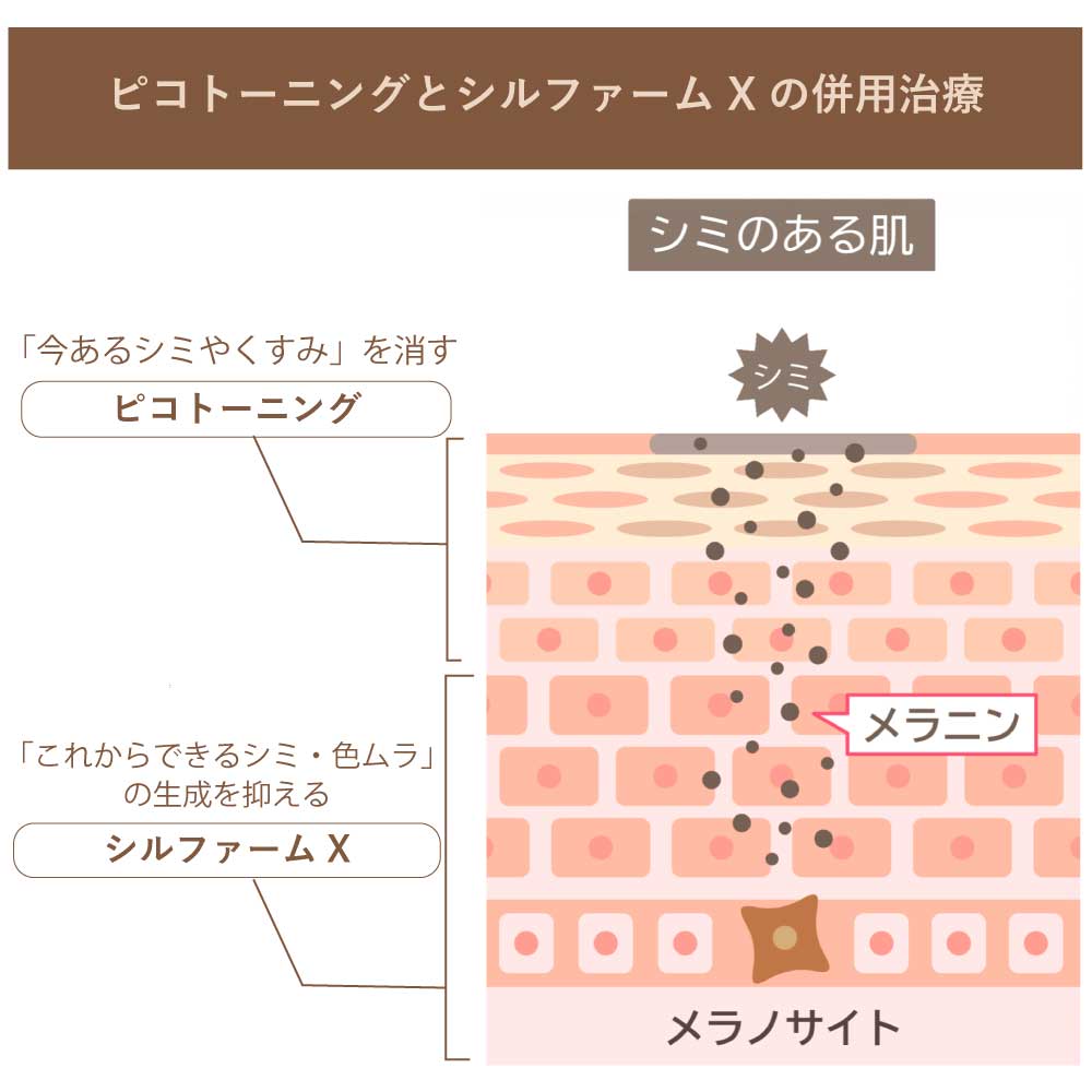 ピコトーニング✖️シルファームX