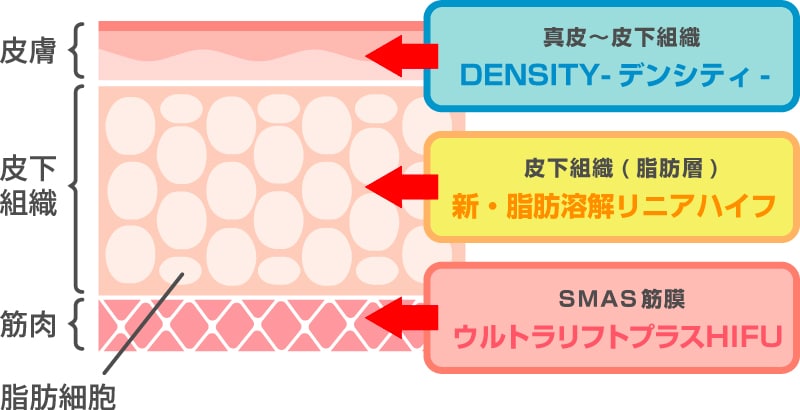 3層同時アプローチでたるみの原因を根本から撃退