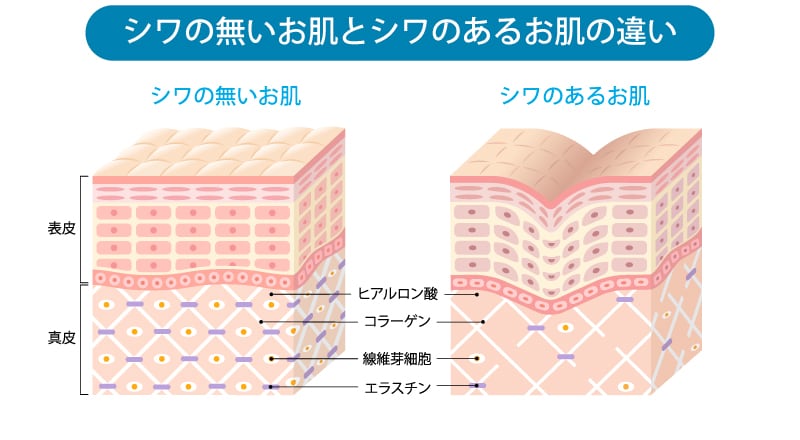 最近SNSで見かける【肌育治療】ってなに？