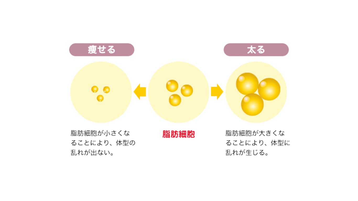 脂肪吸引のメリット①リバウンドしづらい体になる