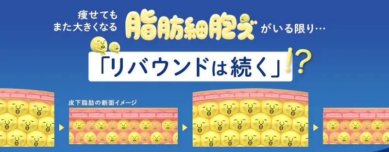 CMで話題☆｜クールスカルプティング(クルスカダブル)<br />
