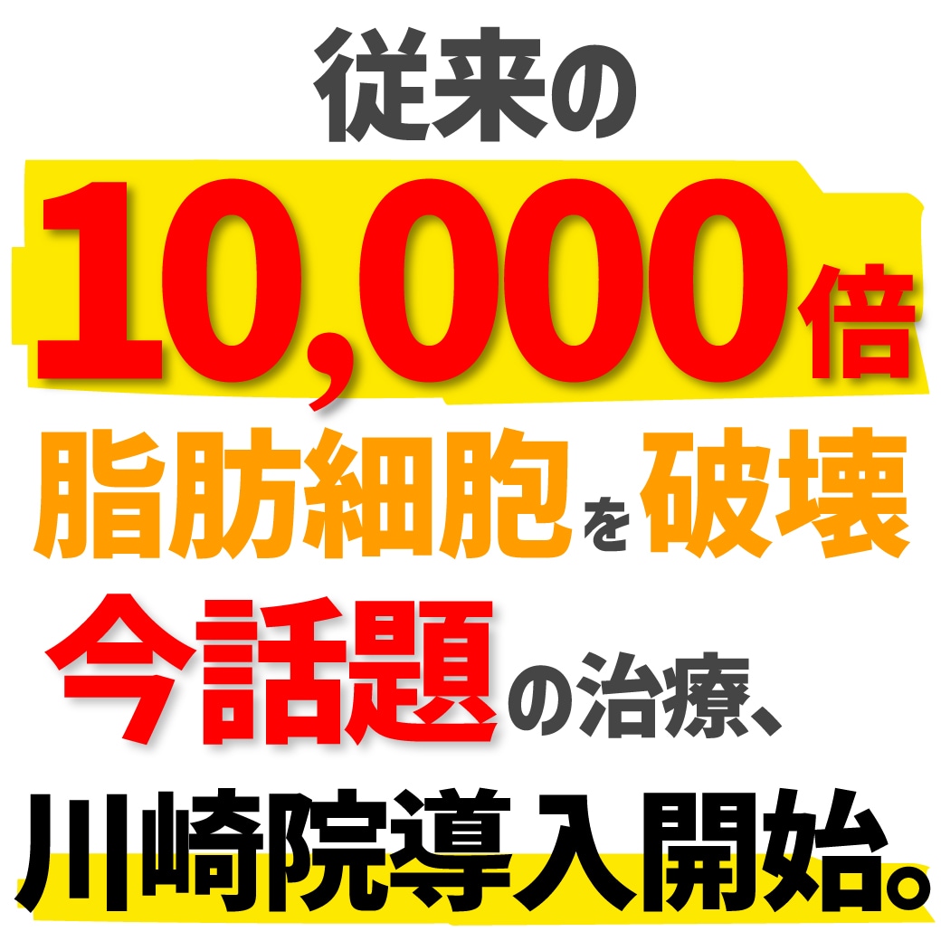 脂肪溶解成分「デオキシコール酸」が従来の1万倍!!〈FatX Core〉