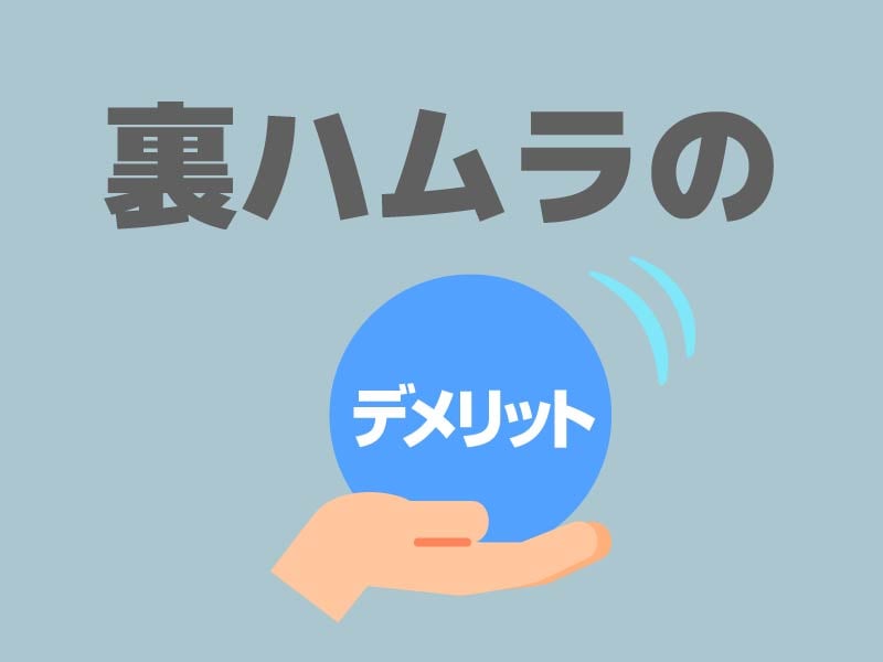 ◆デメリット（知っておいていただきたいこと）