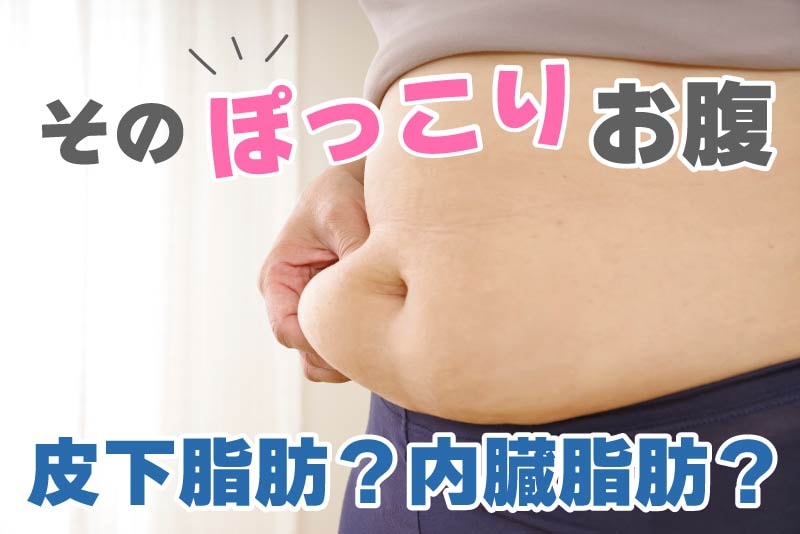 お腹の脂肪を落とすには?ぽっこりお腹の原因別・最短解消法【皮下脂肪vs内臓脂肪】