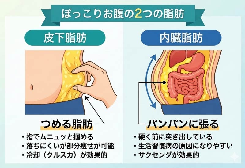 つめる脂肪は「皮下脂肪」、パンパンに張るのは「内臓脂肪」