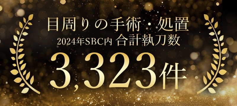 豊富な実績に裏打ちされた安心感 - 目周りの手術・処置 合計執刀数3,323件(2024年 湘南美容クリニック内)