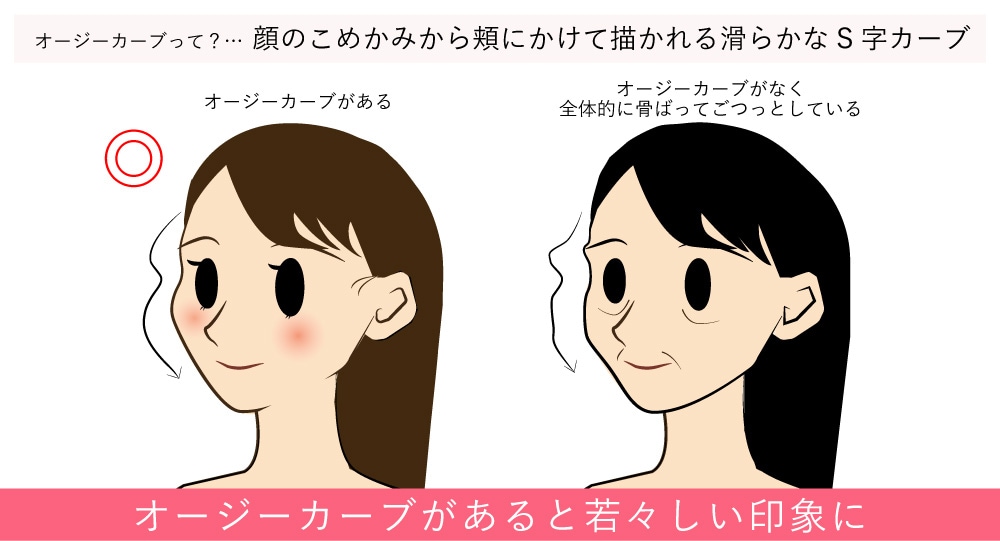 オージーカーブとは?